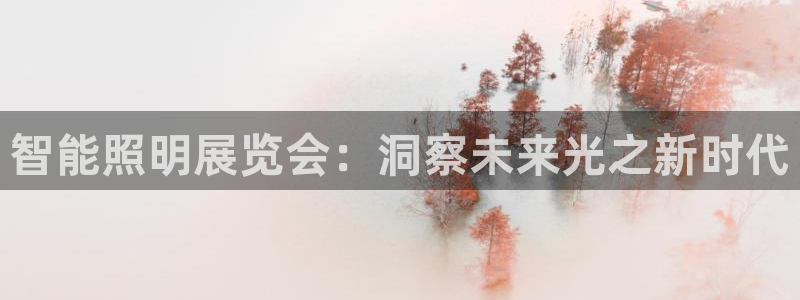 云顶国际酒店老板简介