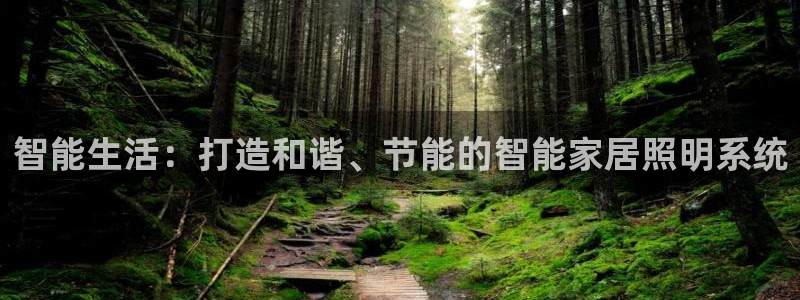 云顶集团公司简介图片