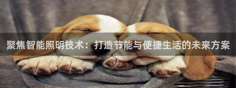 云顶国际yd222线路检测中心