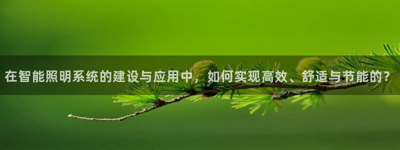 云顶国际(集团)开发实业有限公司