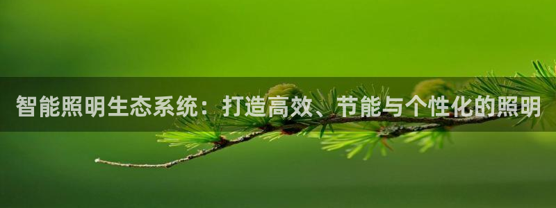 上海云顶国际会所有什么服务