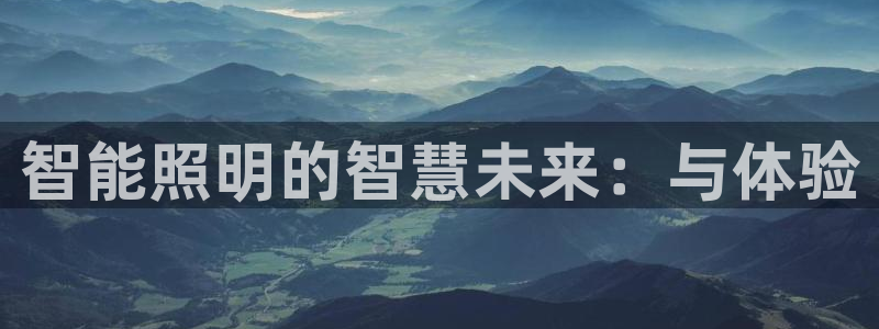 云顶线路快速检测中心：智能照明的智慧未来